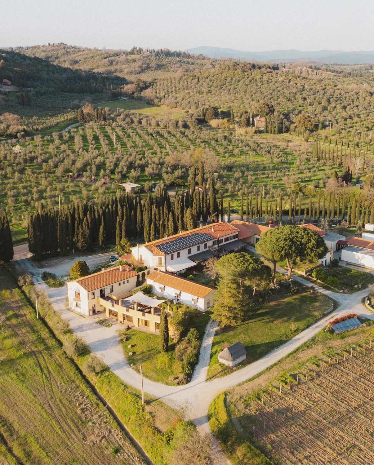 Villa Bianca stemningsfoto med hvidvin, keramik og bordstemning