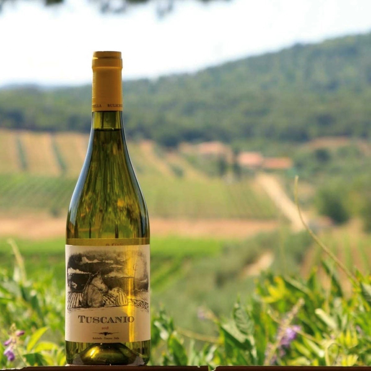 Bulichella Tuscanio Bianco - Billede 2
